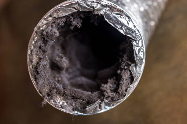 Best Best Air Duct Cleaning Company  in Granger, IA